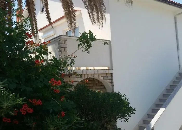 Anka Andreskic Daire